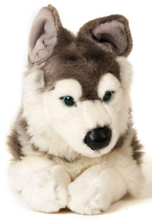 Plyšový pes HUSKY ležící - 43 cm